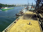 Россия переориентирует зерно и удобрения из портов Балтии в «Бронку»